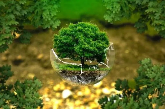 Lichtverschmutzung + Einfluss von Licht auf die Umwelt